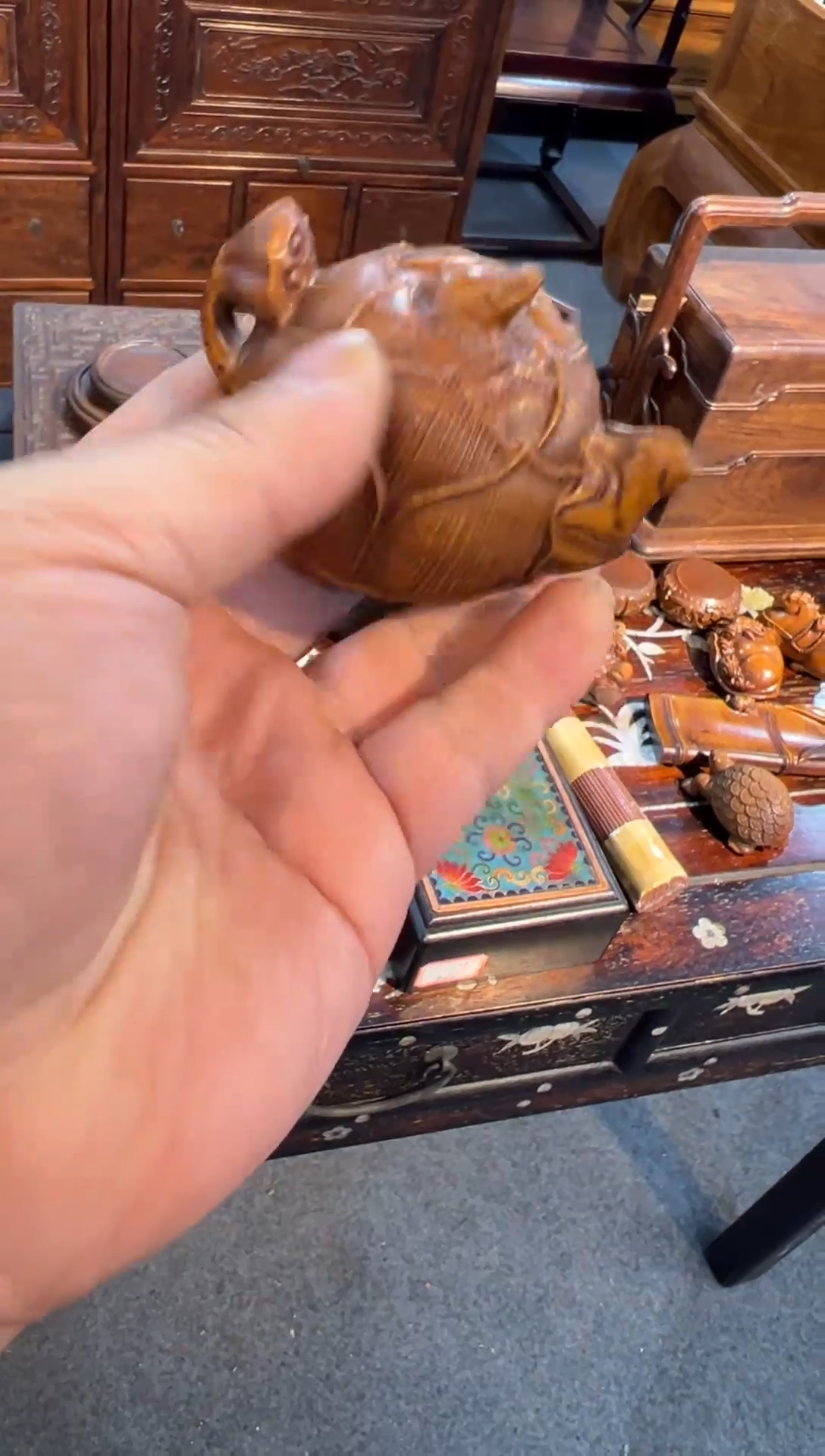 木木头款小叶黄杨荷花把把胡