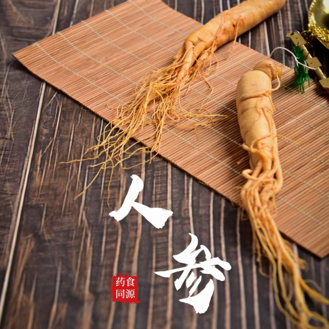 参酒——长白山人参泡酒