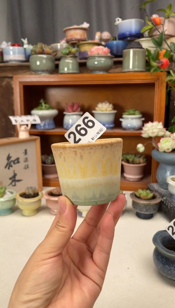 瓷片266微瑕知木小芳花盆