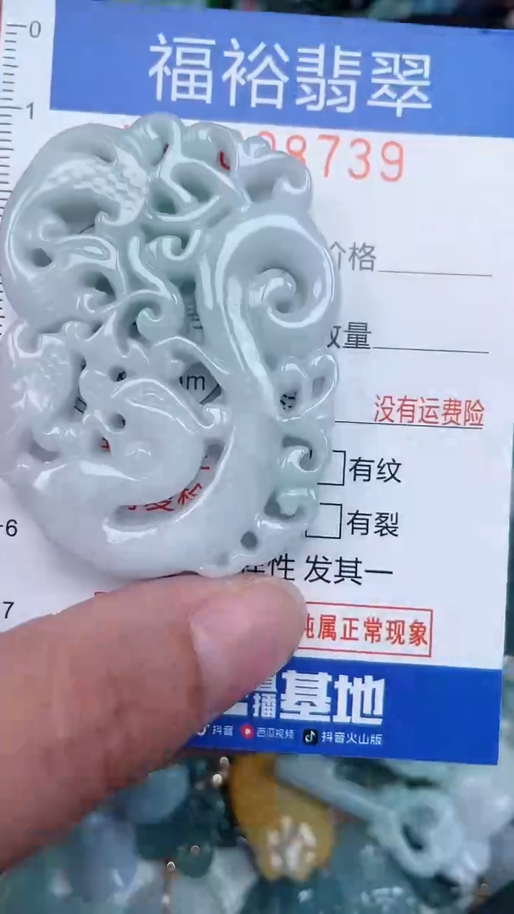 颈饰未镶嵌翡翠...0008739