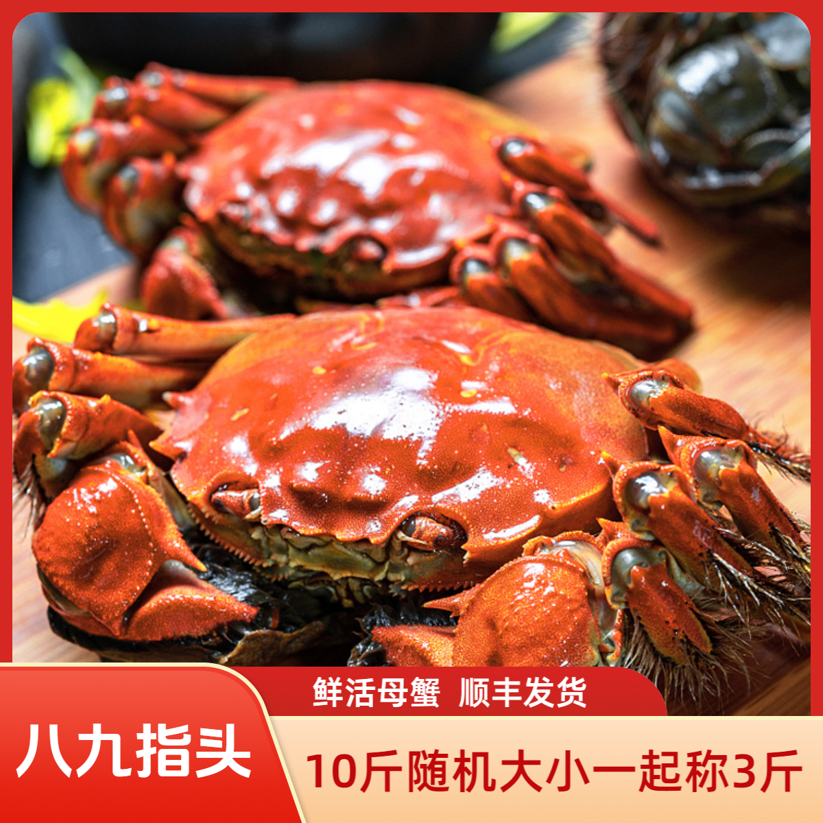 【活蟹全母】3斤10只大闸蟹鲜活平均一只3两湖螃蟹按斤称重大小随机