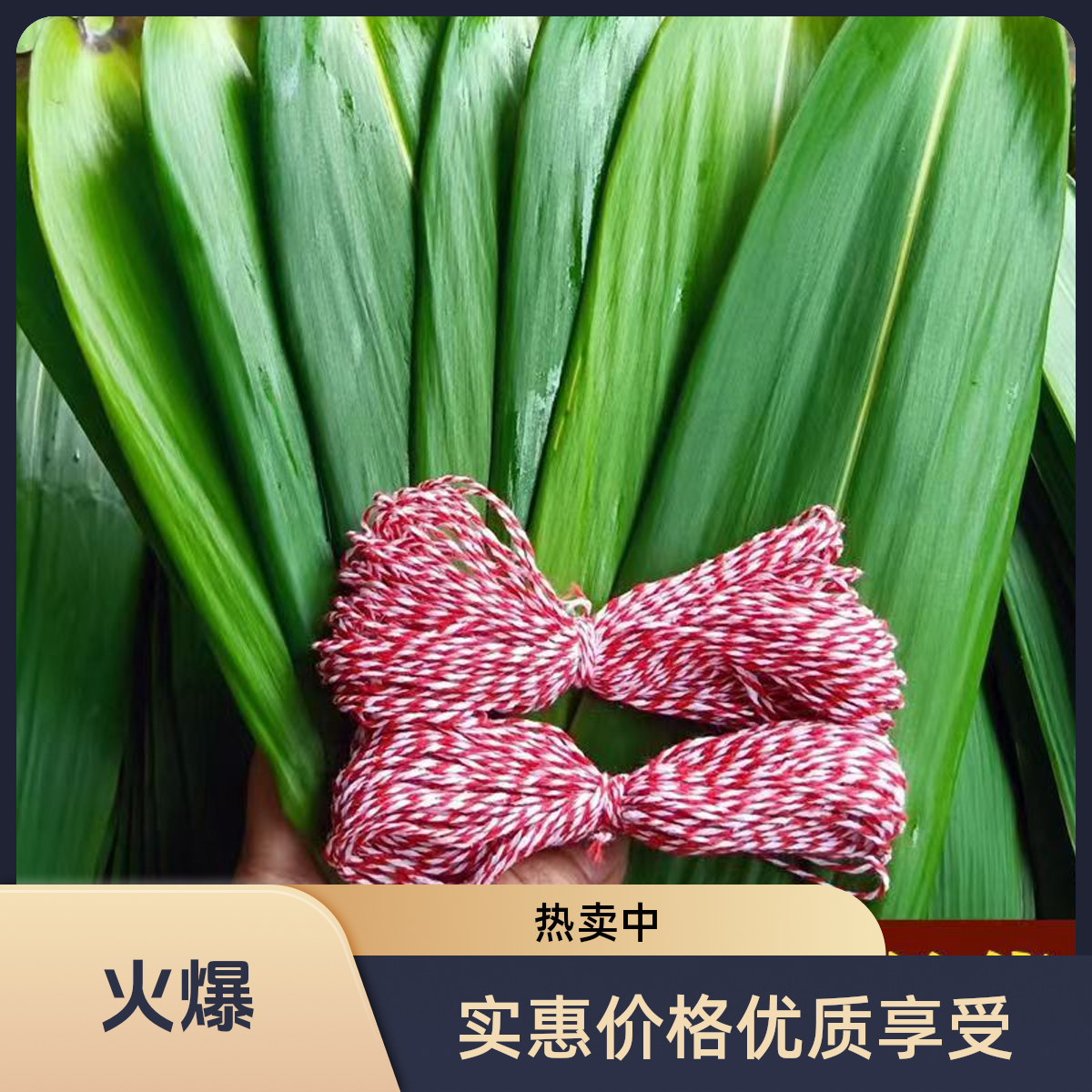 新鲜现摘 广西纯天然新鲜粽叶大号 包粽子专用粽叶