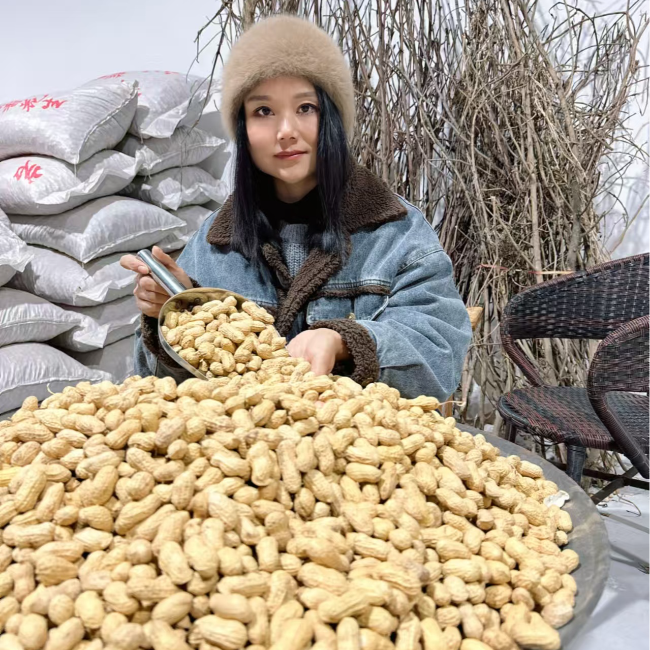 【蔡西施农场 】妈妈家白沙花生果 2025年新货 自然晒干 带壳生花生