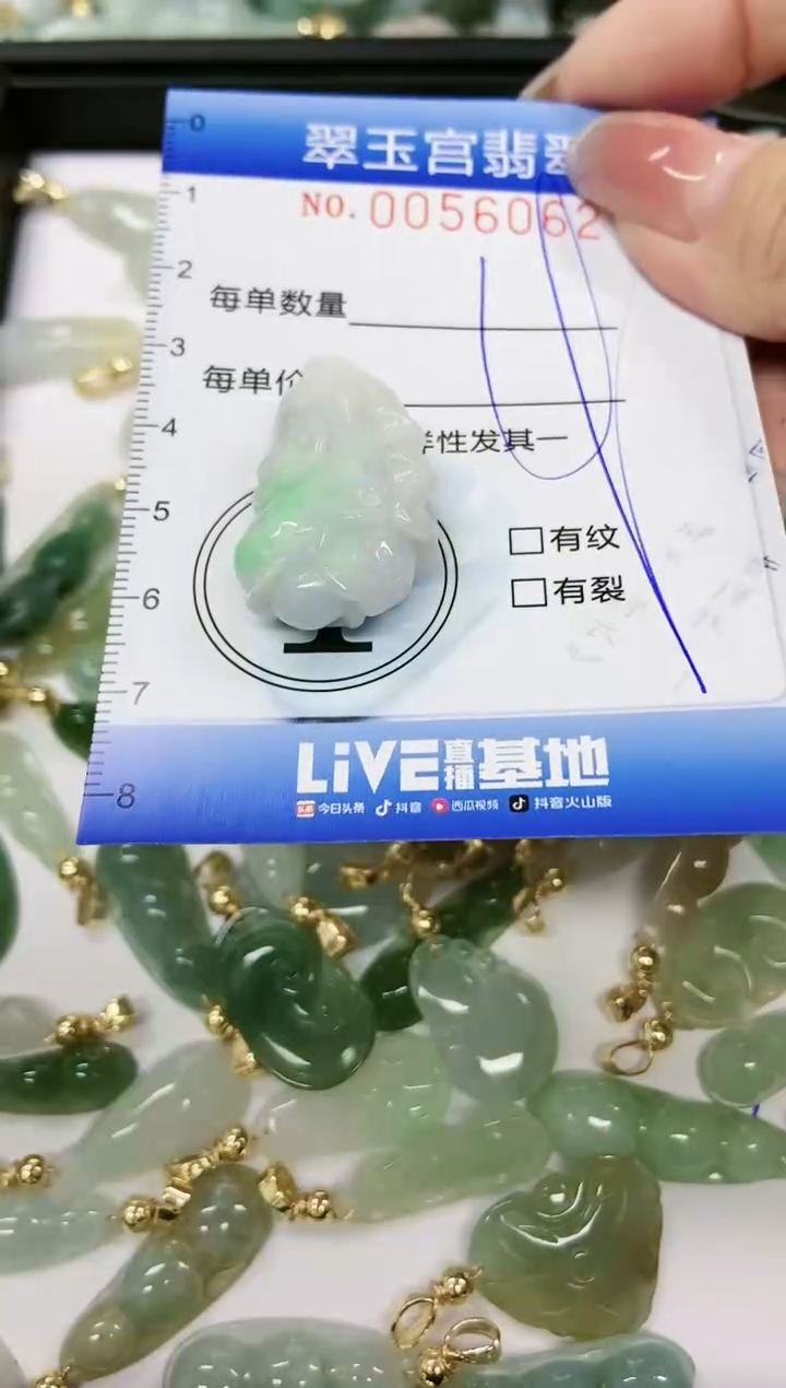 【闪购商品】翡翠颈饰未镶嵌闪购0056062