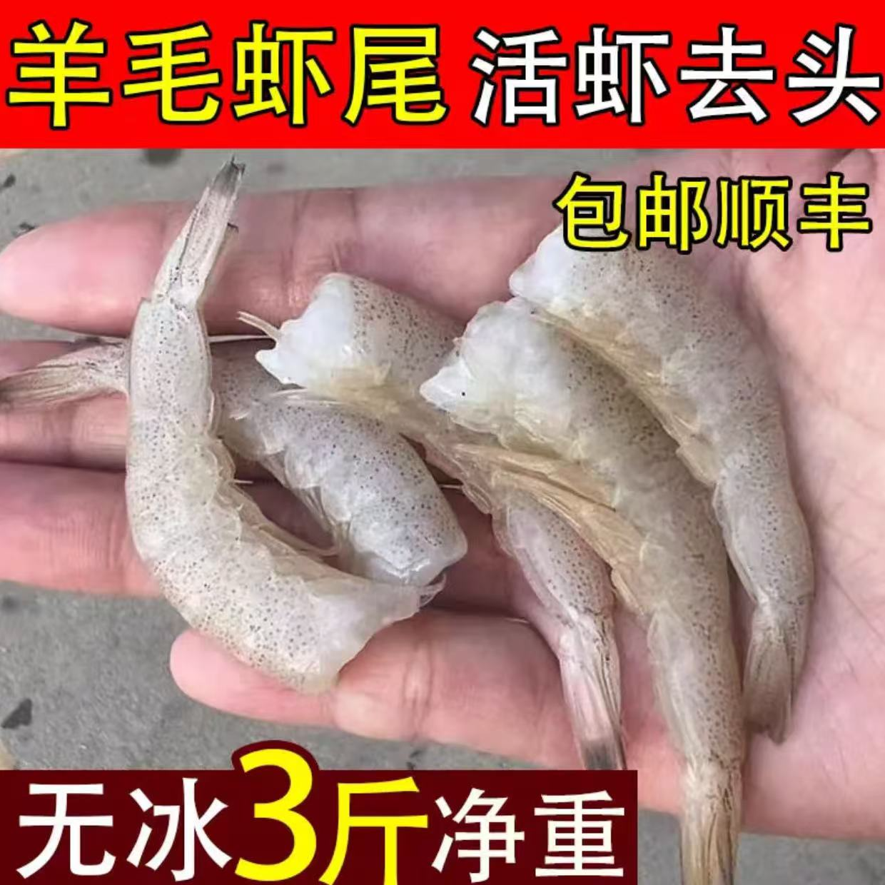 连云港新鲜野生羊毛虾去头发货【净重3斤】不泡水不泡药