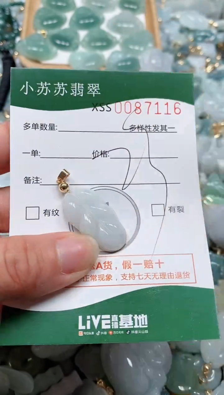 【闪购商品】翡翠颈饰未镶嵌闪购商品0087116