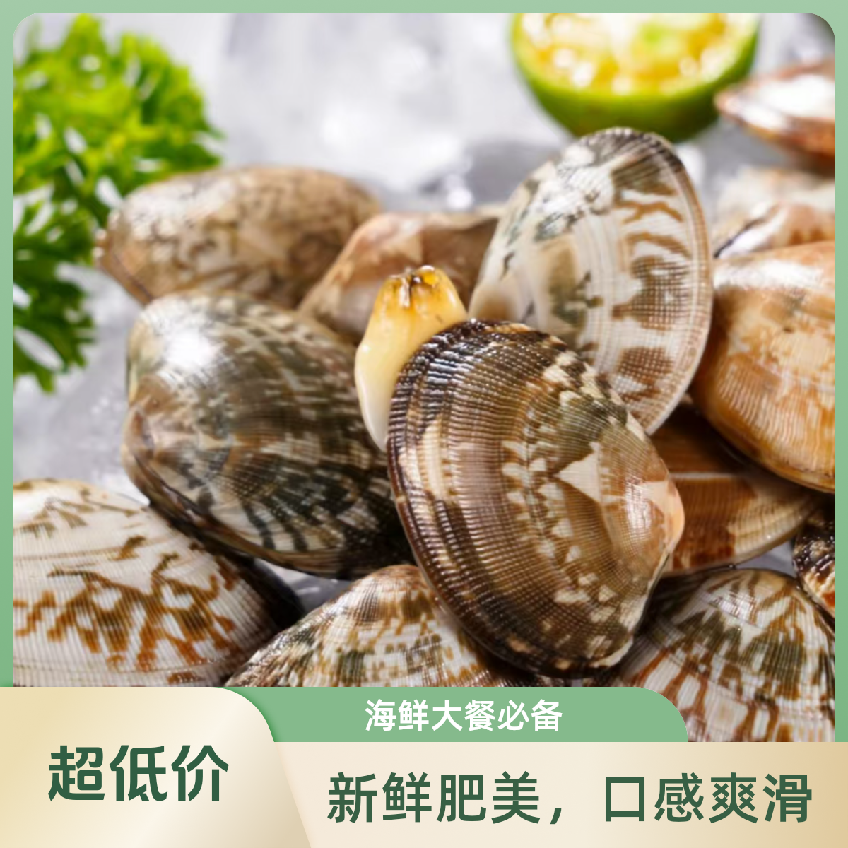 花甲500g     