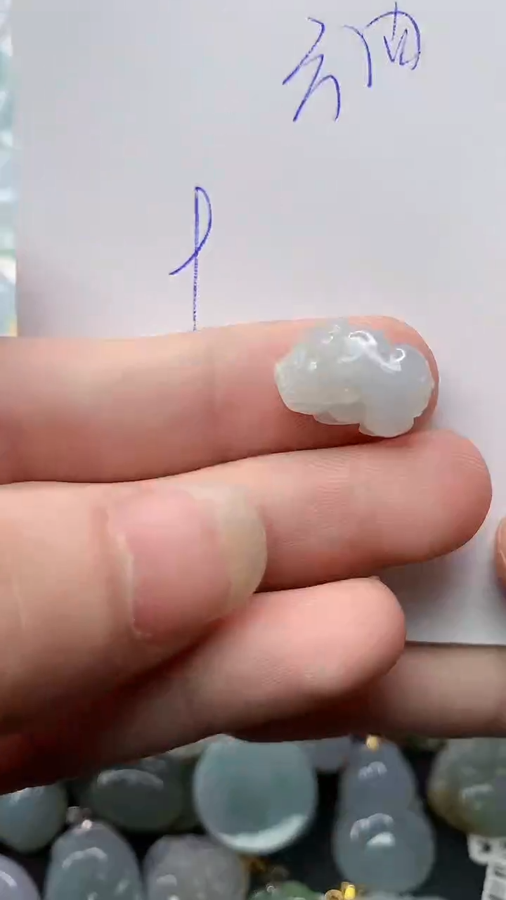 【闪购商品】翡翠颈饰未镶嵌20........