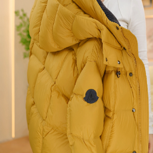 AL—[运费补贴】2025新款加厚立领时尚气质羽绒服