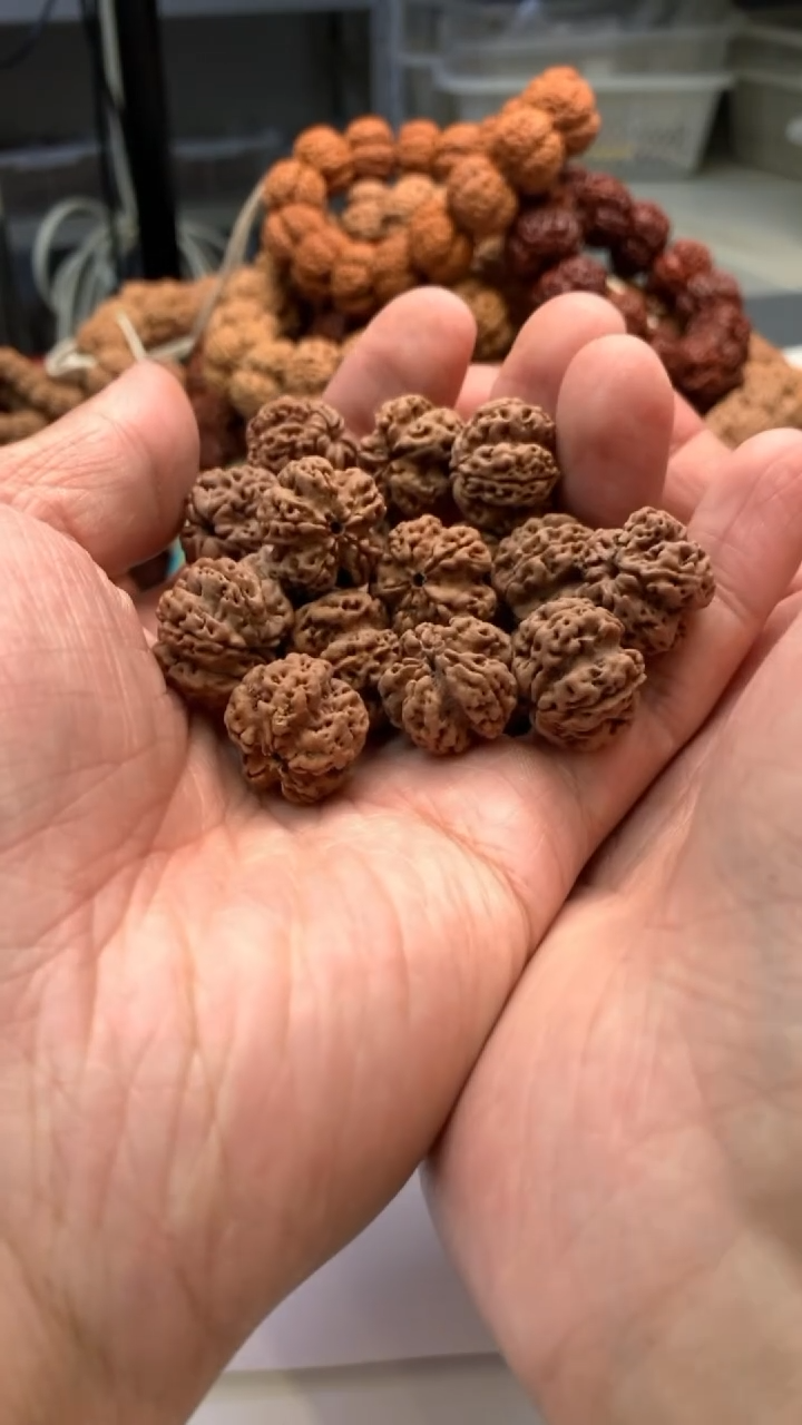 金刚菩提手串3577777777