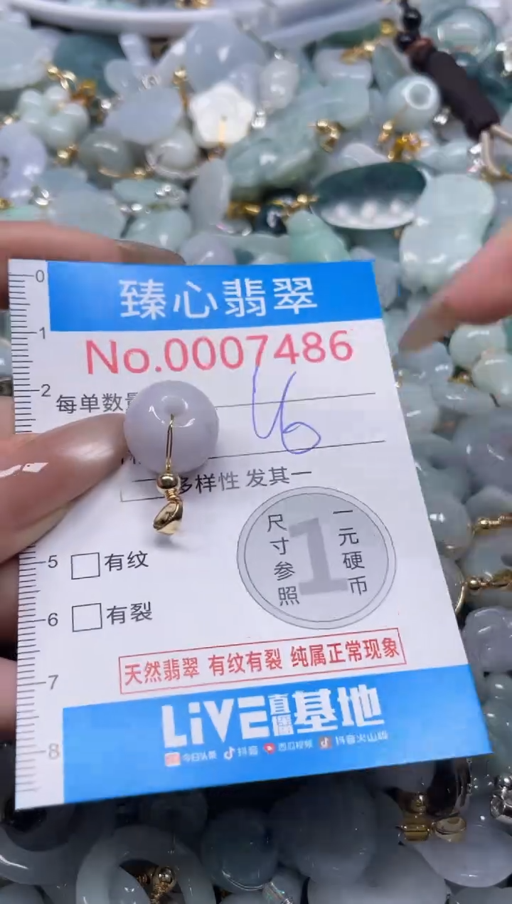 颈饰未镶嵌翡翠7486