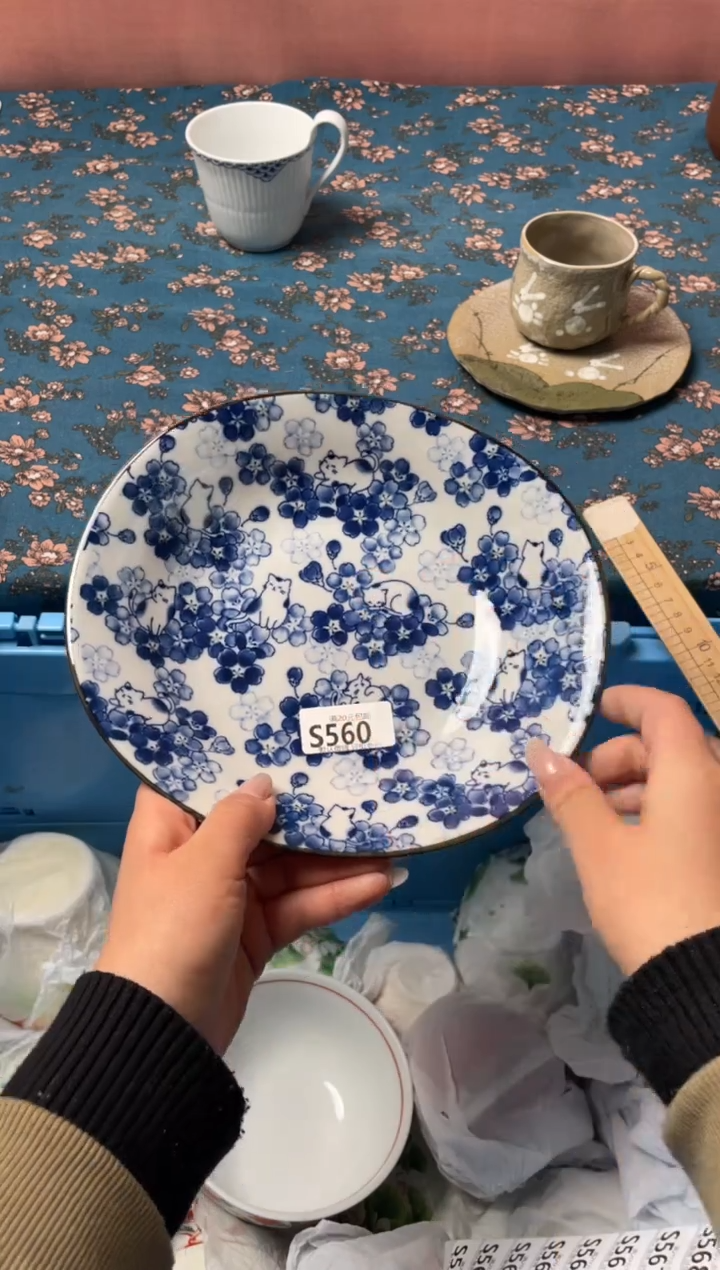 瓷片国**安瓷器瓷器S560