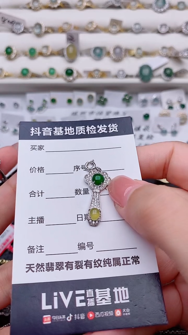 吊坠(赠链)银S925镶嵌翡翠L****鸭..............