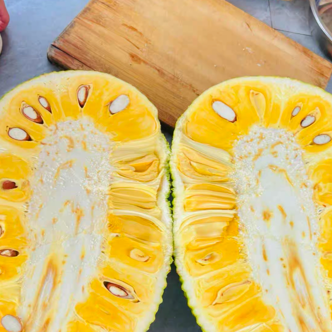 越南红肉菠萝蜜6-17斤送货上门（颜色金黄)