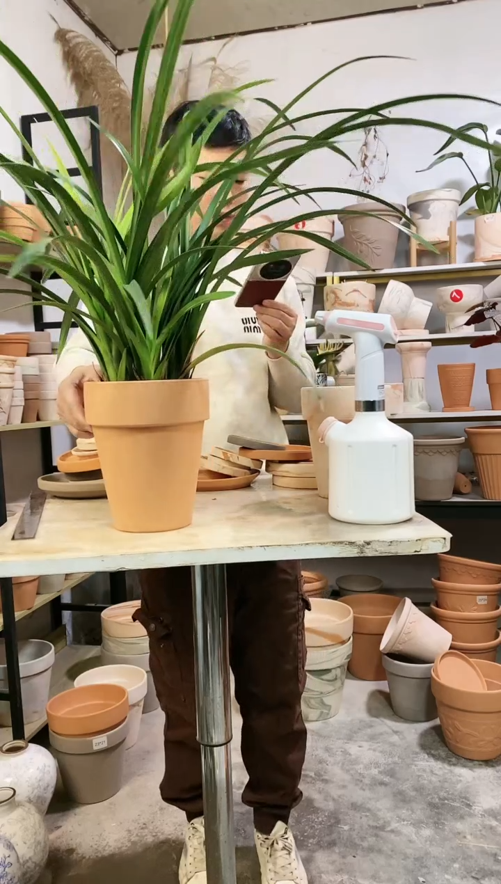 【闪购商品】红陶17*21红陶国际 1盆无托