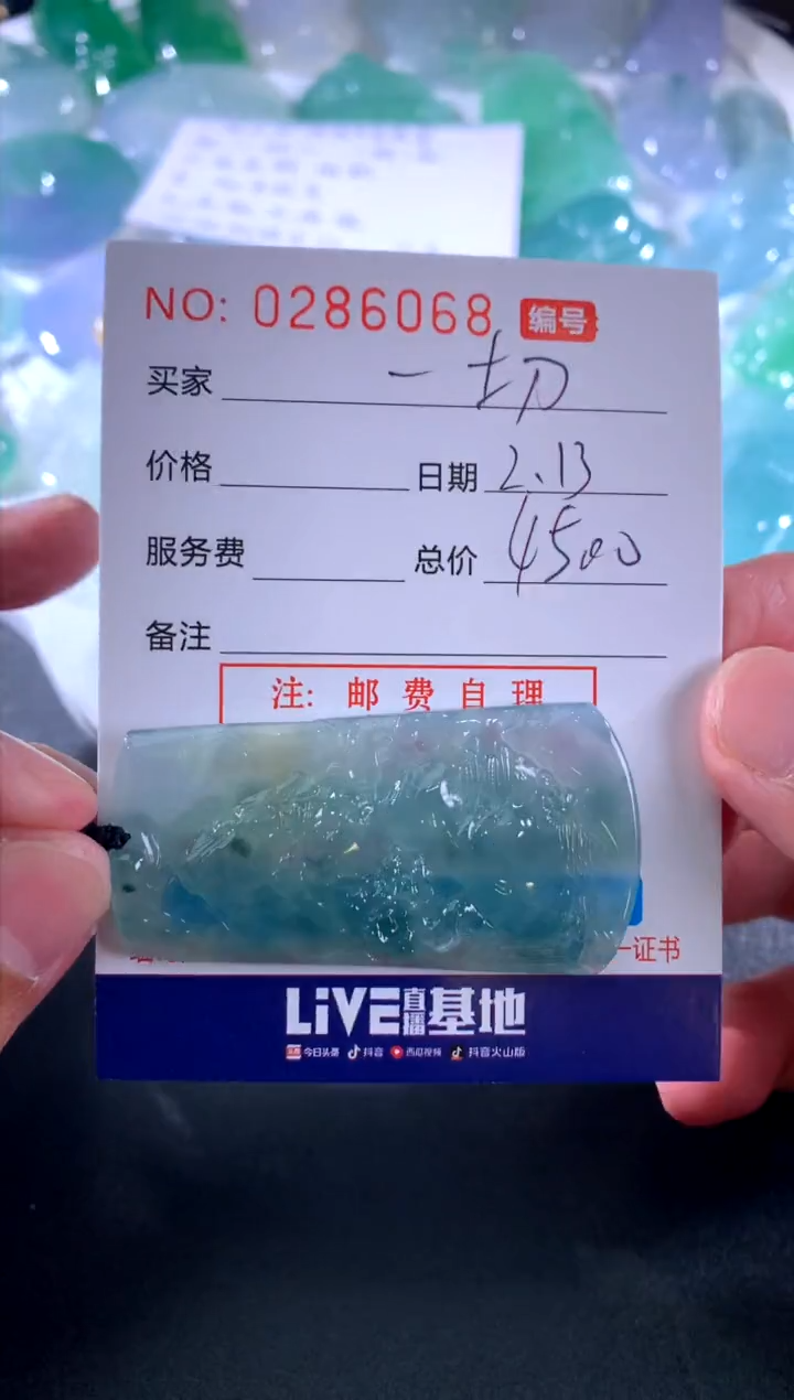 【闪购商品】翡翠颈饰未镶嵌一