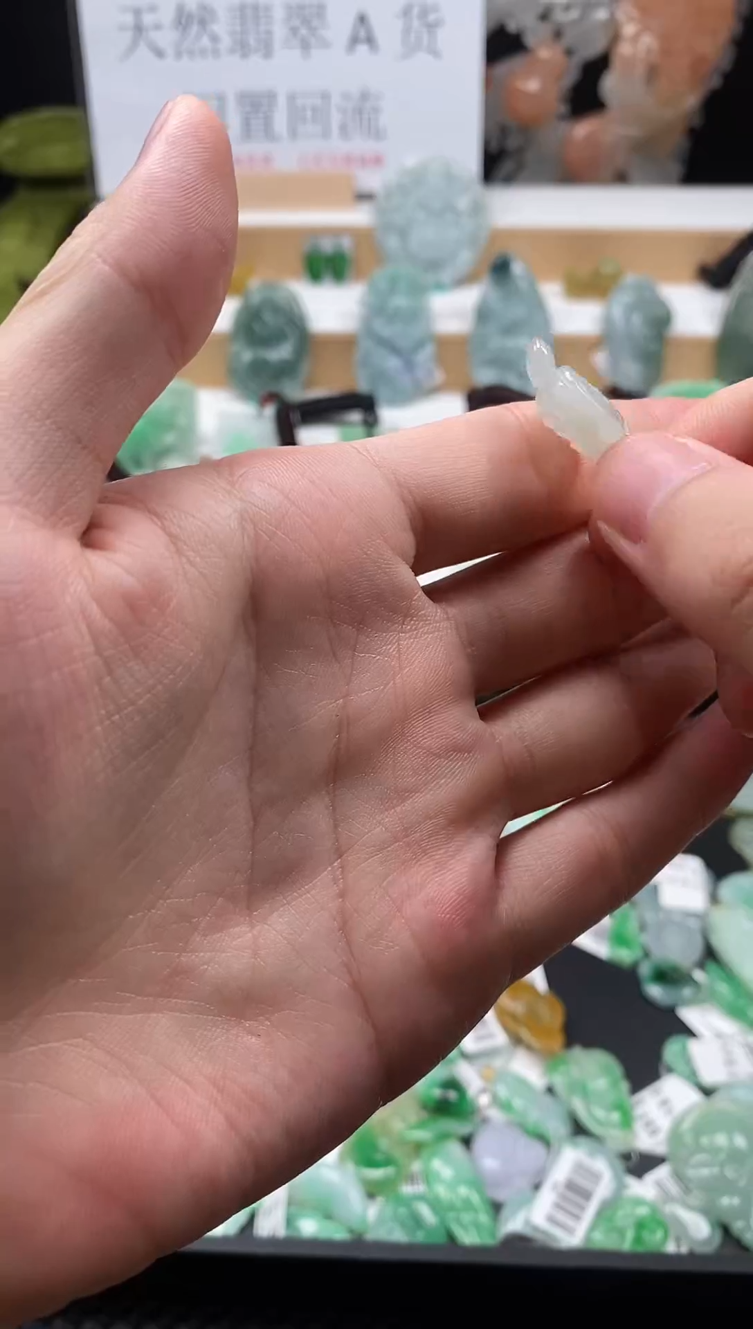 【闪购商品】翡翠颈饰未镶嵌111乌龟