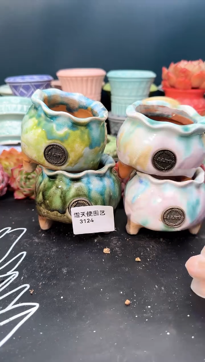 3 124 景天盆 4个 默认微瑕