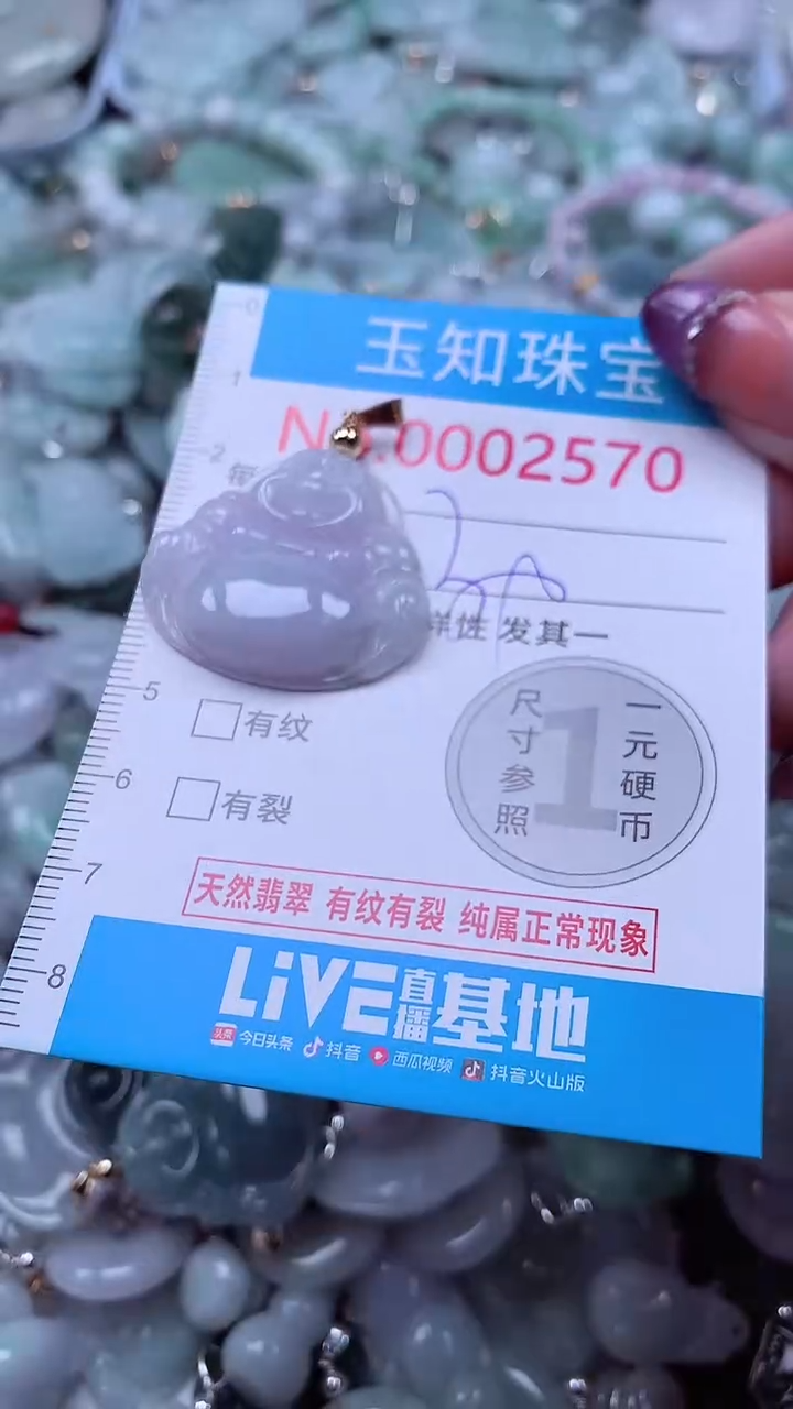 翡翠未镶嵌吊坠(不含链)2570