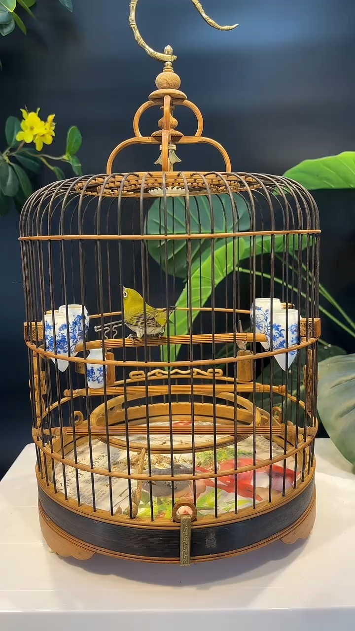 1号秀秀精品老竹笼