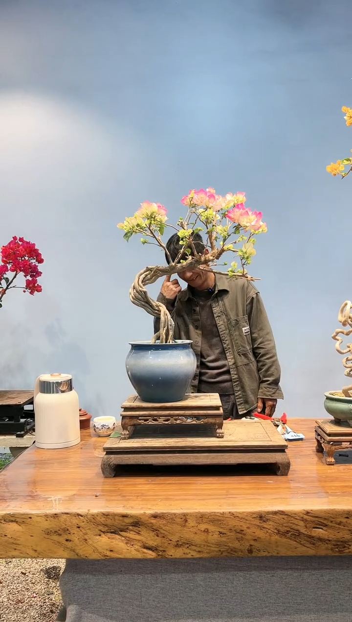 【闪购商品】AA911