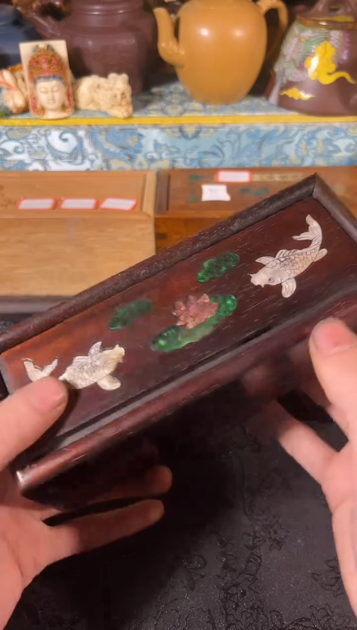 黄杨木11111111111yy