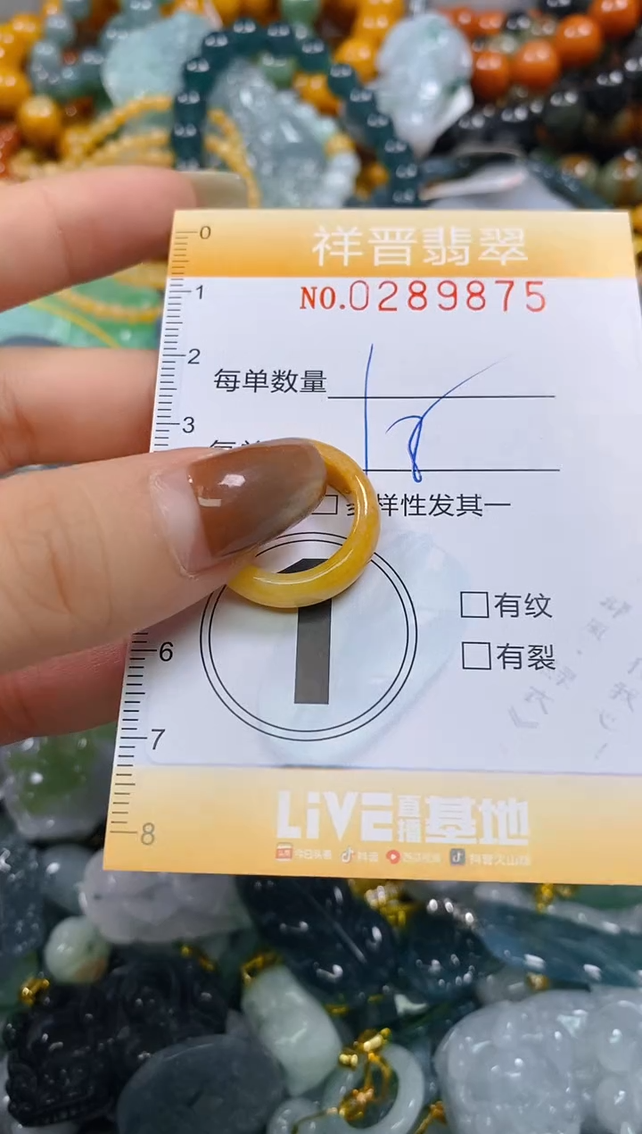 颈饰未镶嵌翡翠闪购0289875