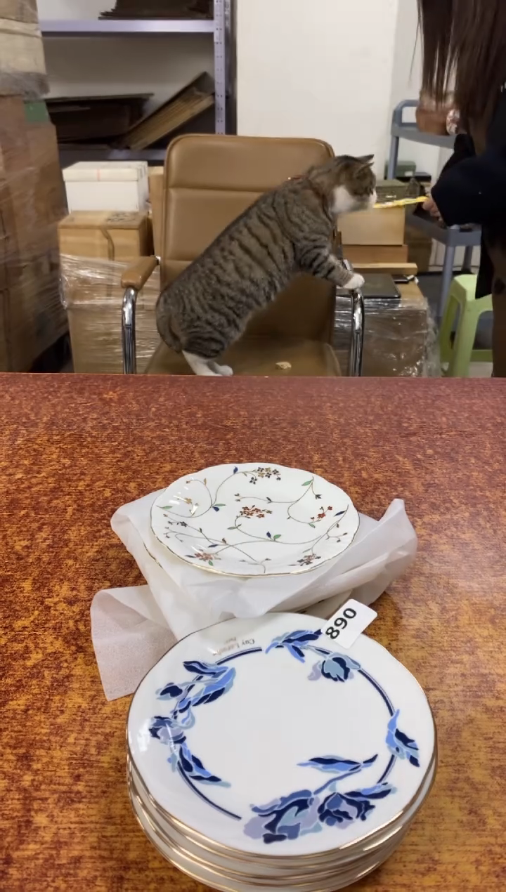 瓷片摩**0890小林轩欢迎您