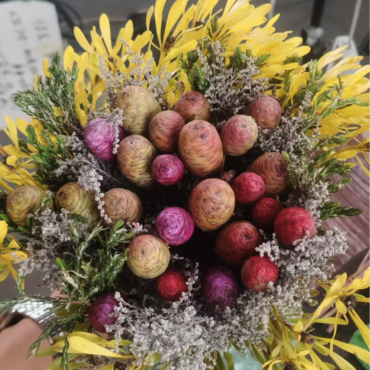 南非进口果子花束  室内花材 可做干花
