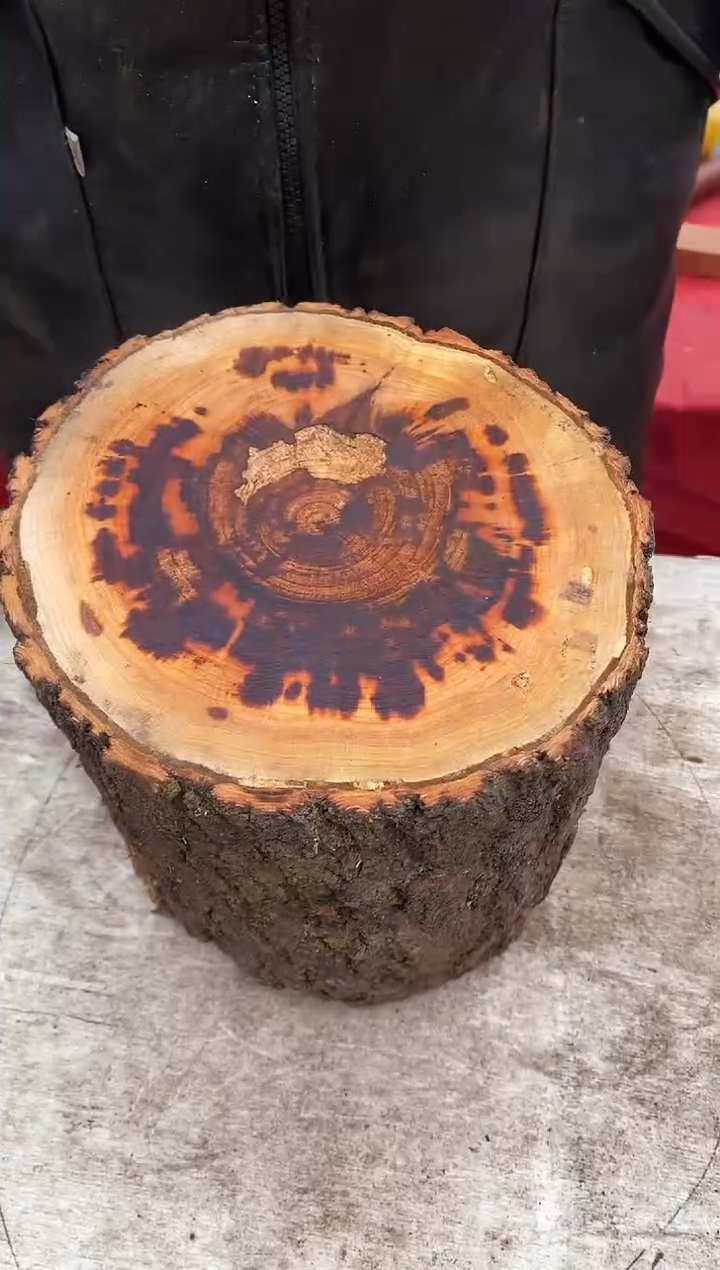 木【45】号原木段，尺寸随型