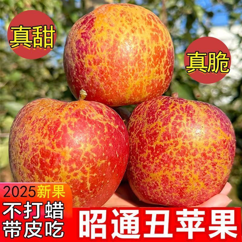 云南昭通冰糖心丑苹果新鲜现摘脆甜多汁产地直供水果