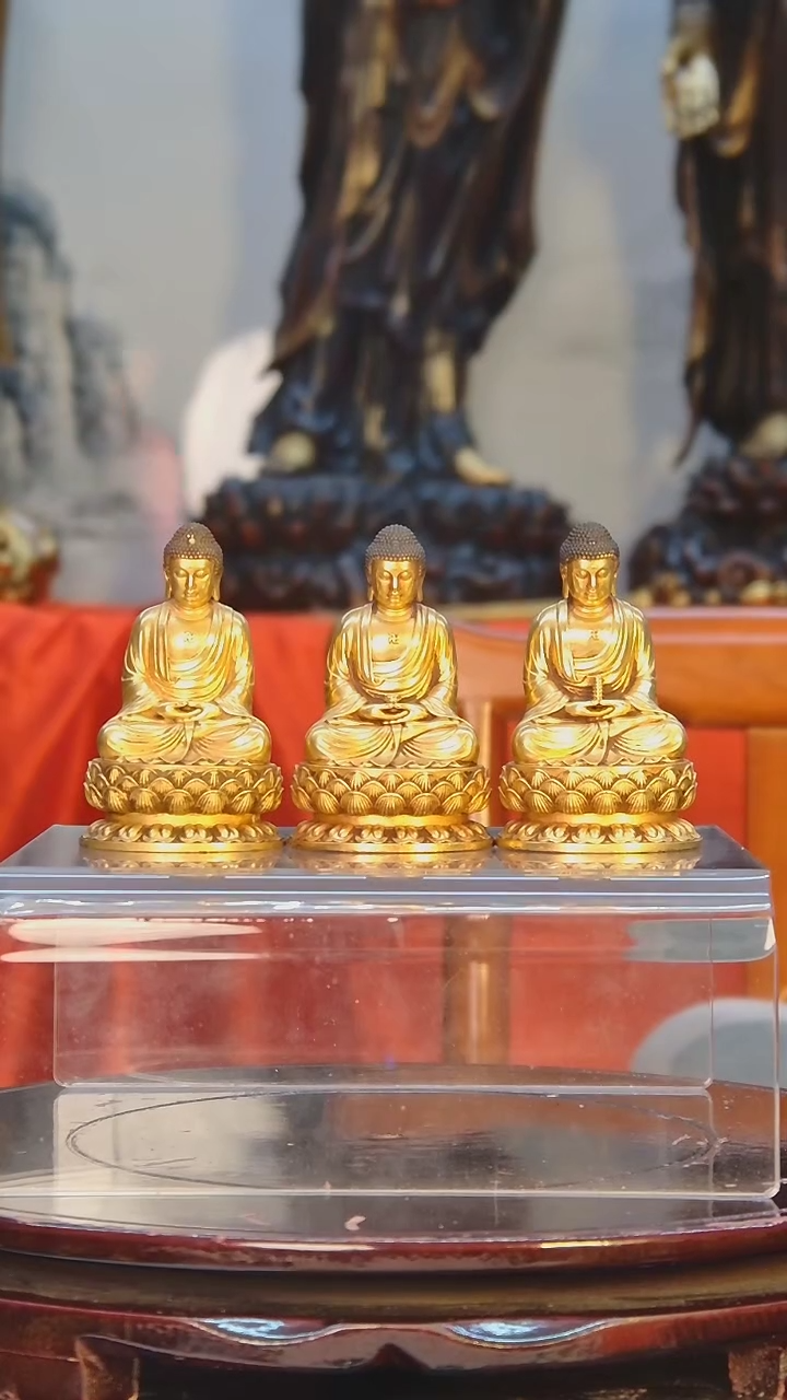 【闪购商品】佛佛佛佛佛佛佛佛佛佛佛