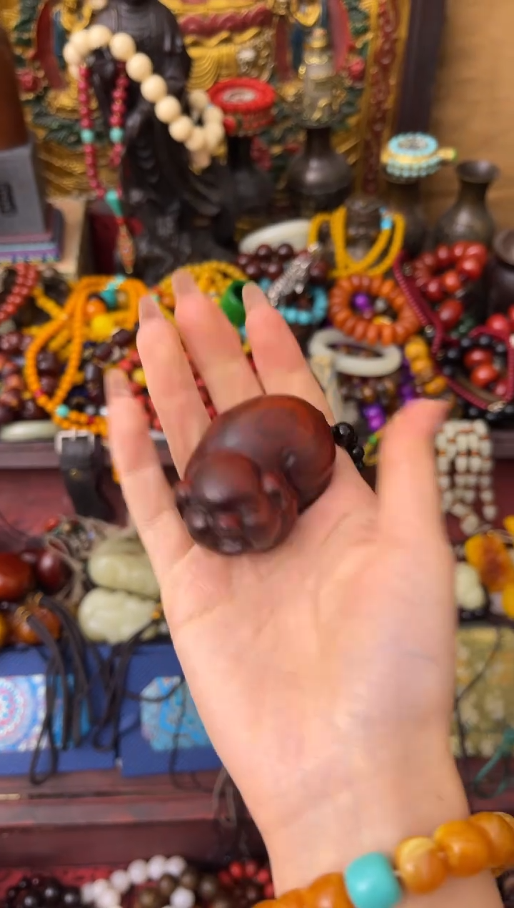 木木木木木木木木木木木木木小猪