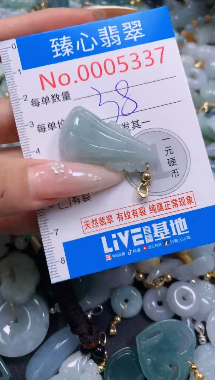 翡翠未镶嵌颈饰含绳0005337