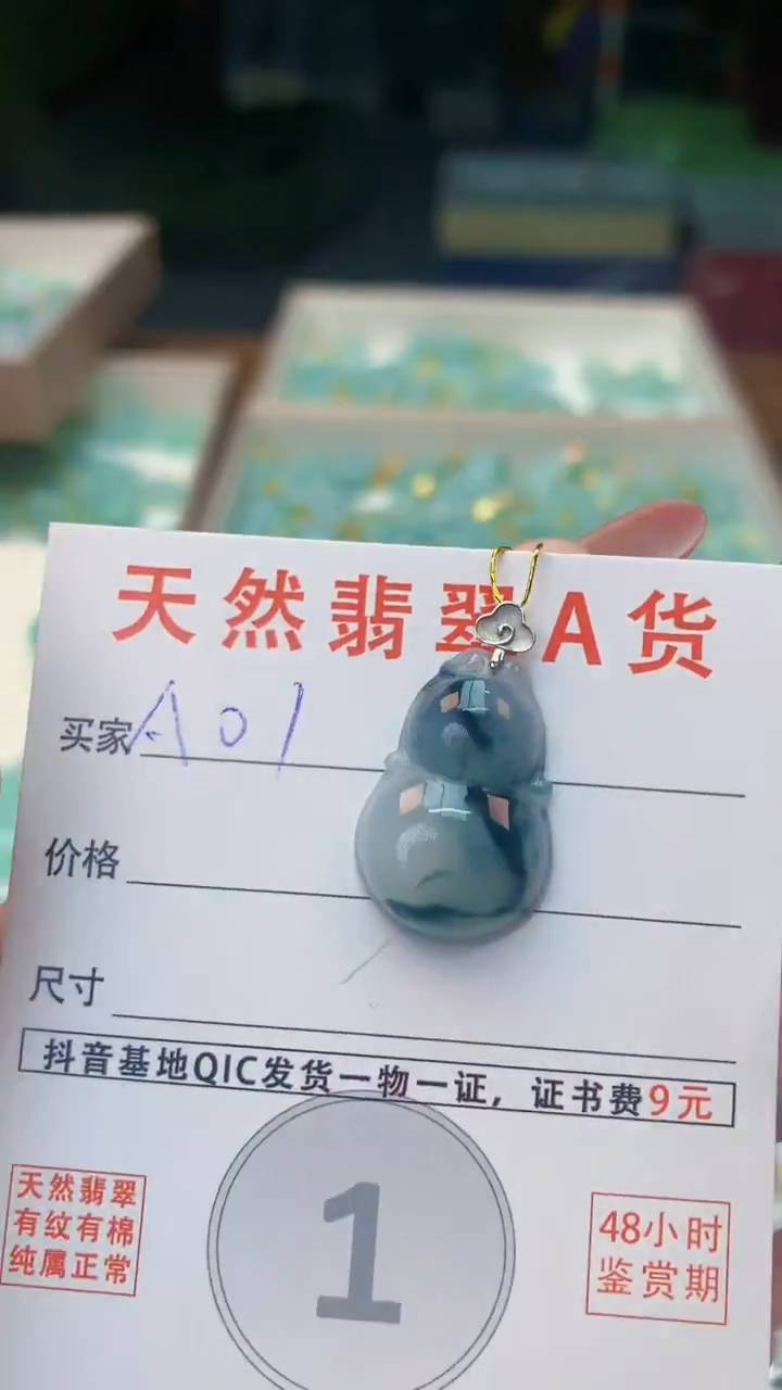 颈饰未镶嵌翡翠纯天然翡翠A货挂件