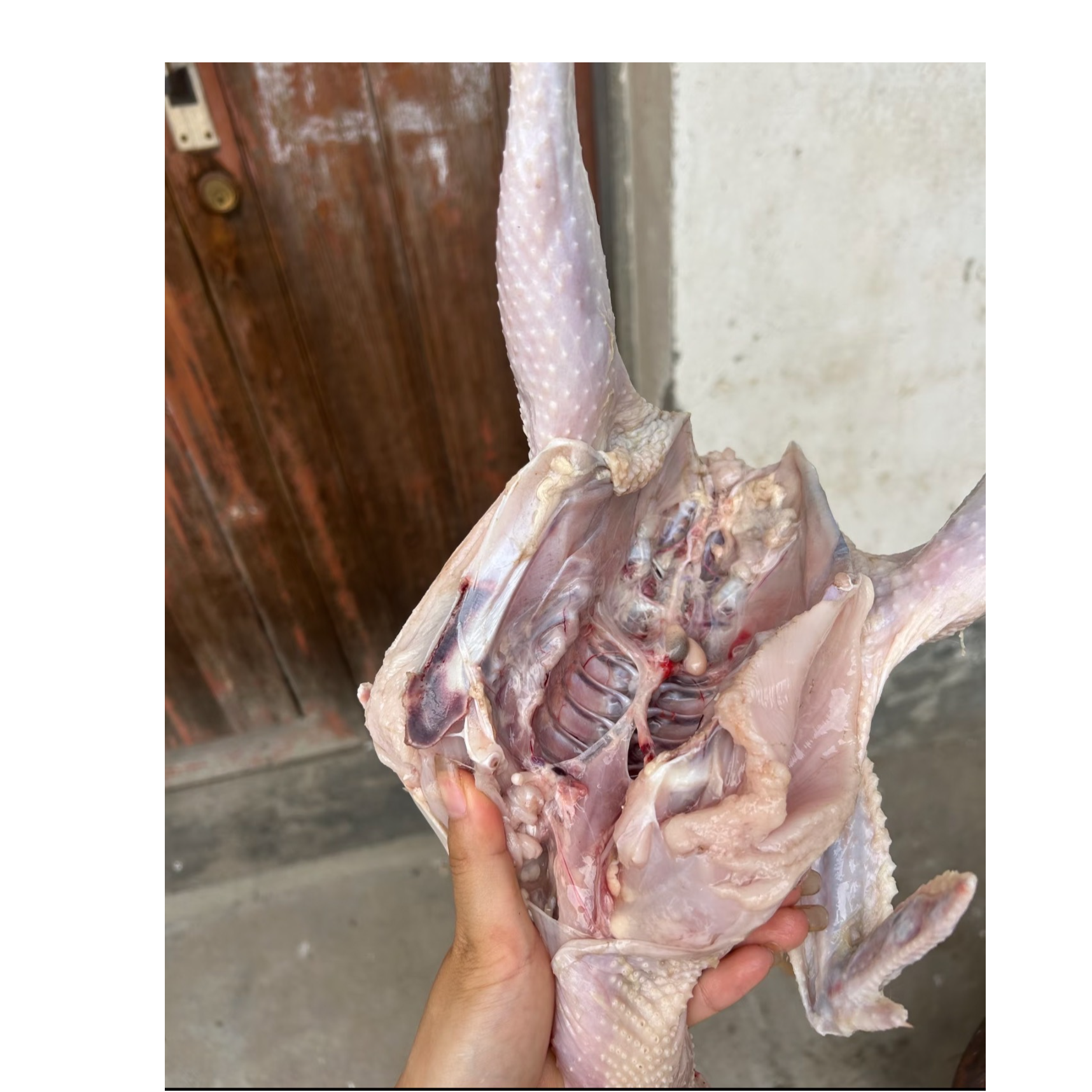 深山农家散养童子鸡｜顺丰冷链包邮