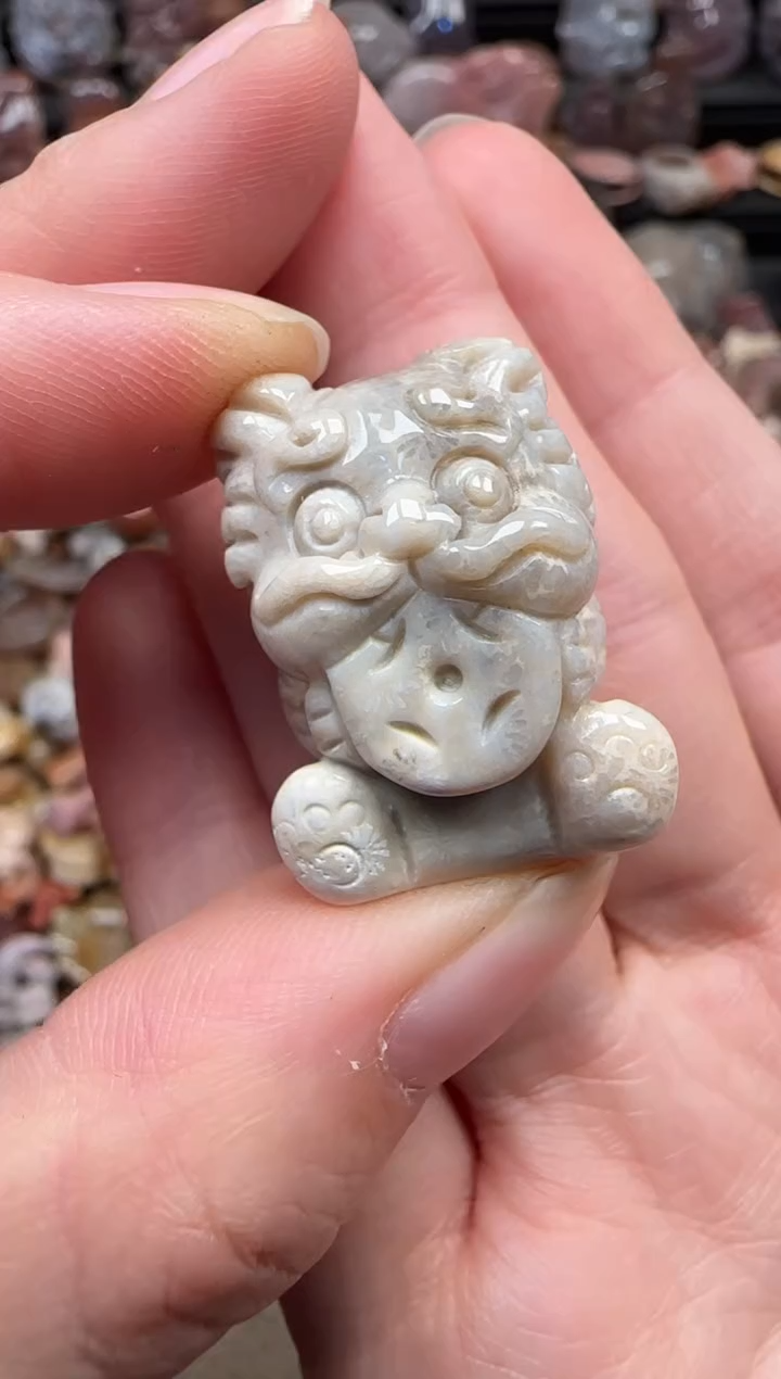颈饰未镶嵌硅化珊瑚（珊瑚玉）035