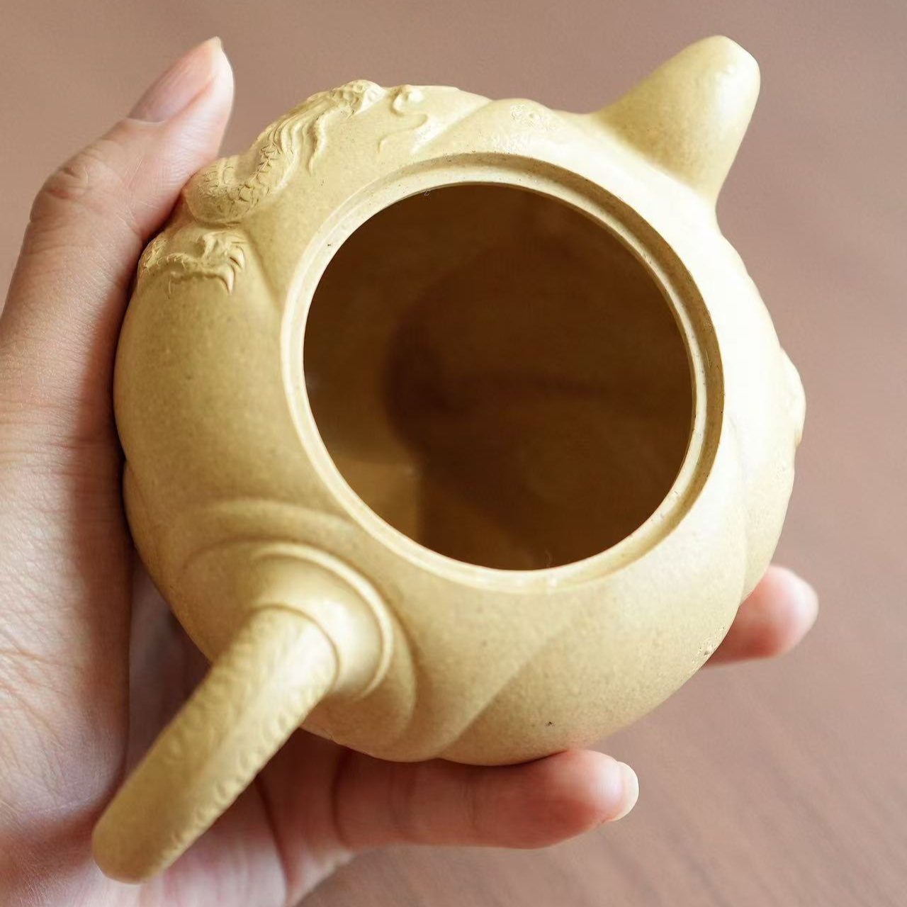 紫砂茶壶鱼化龙2410080165
