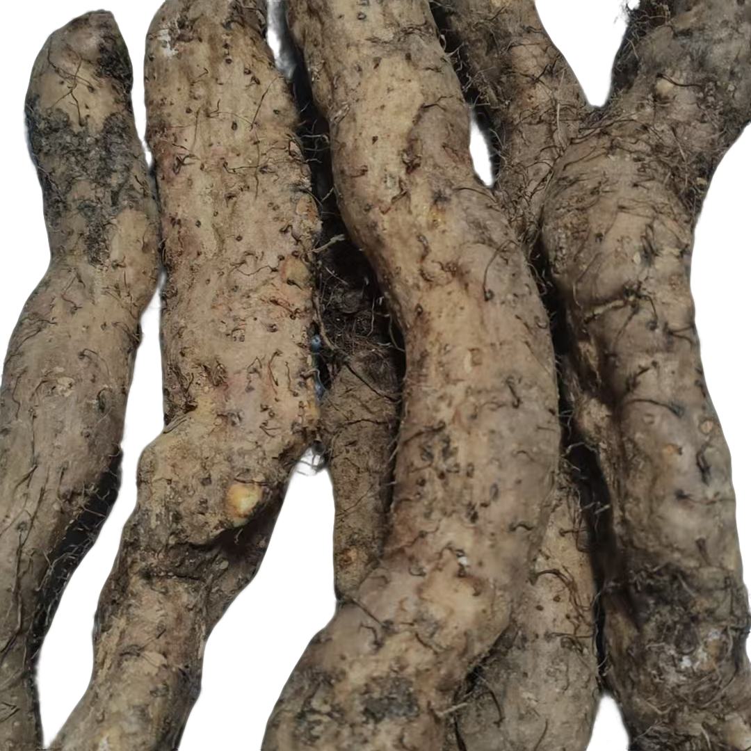 新鲜现挖粉糯可口的潮汕姜薯甜汤小吃