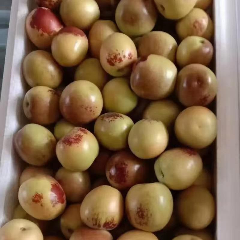 【富贵专属】新疆冬枣2公斤顺丰包邮补气血新疆维吾尔自治区