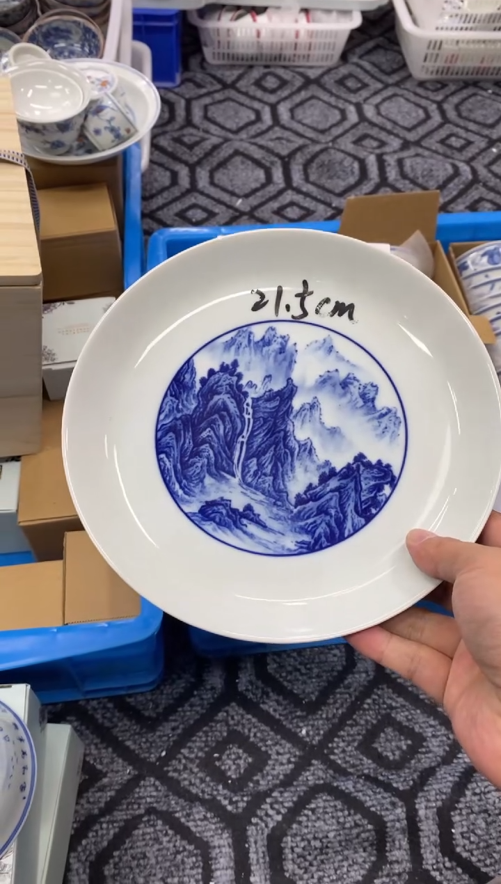 陶瓷景德镇高温餐具21.5