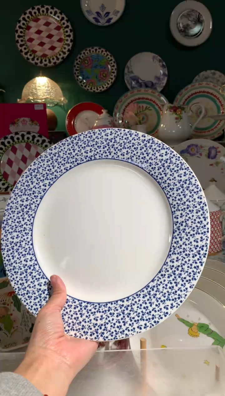 瓷片陶瓷尾单CC302有瑕1个