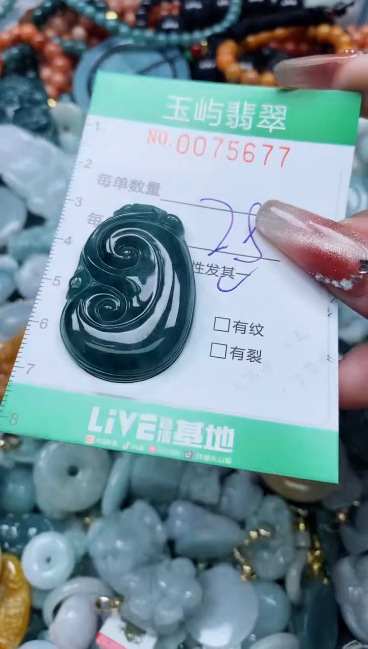 【闪购商品】翡翠颈饰未镶嵌闪购0075677