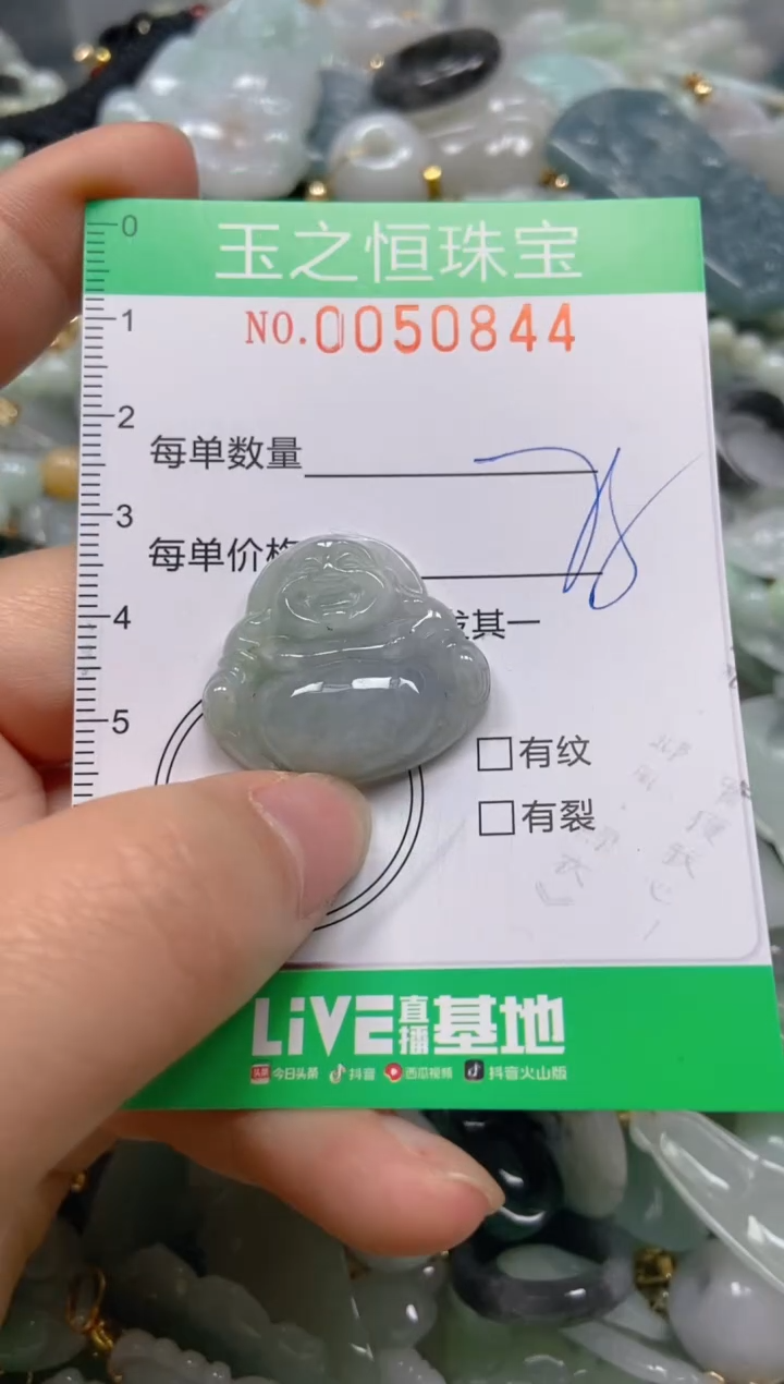 【闪购商品】翡翠颈饰未镶嵌闪购0050844