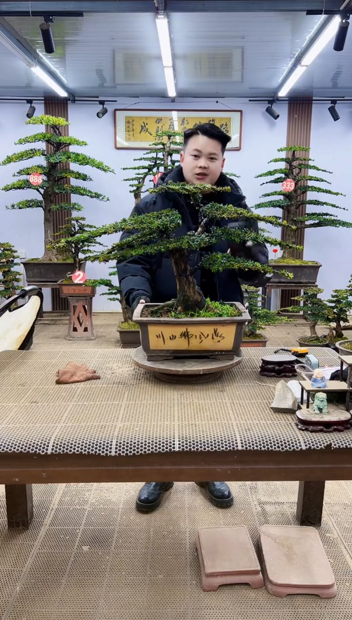 【闪购商品】0000一物一拍，所见即所得