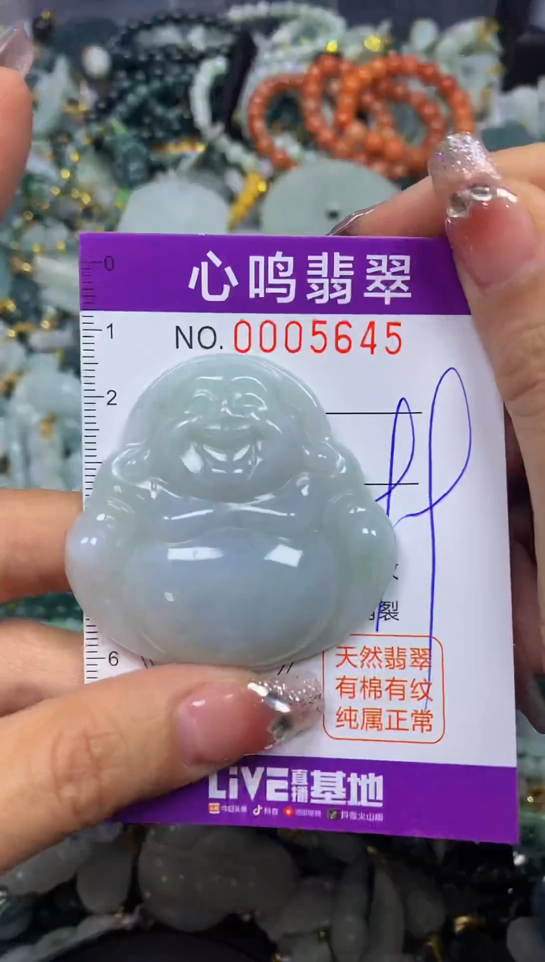 【闪购商品】翡翠颈饰未镶嵌闪购005645