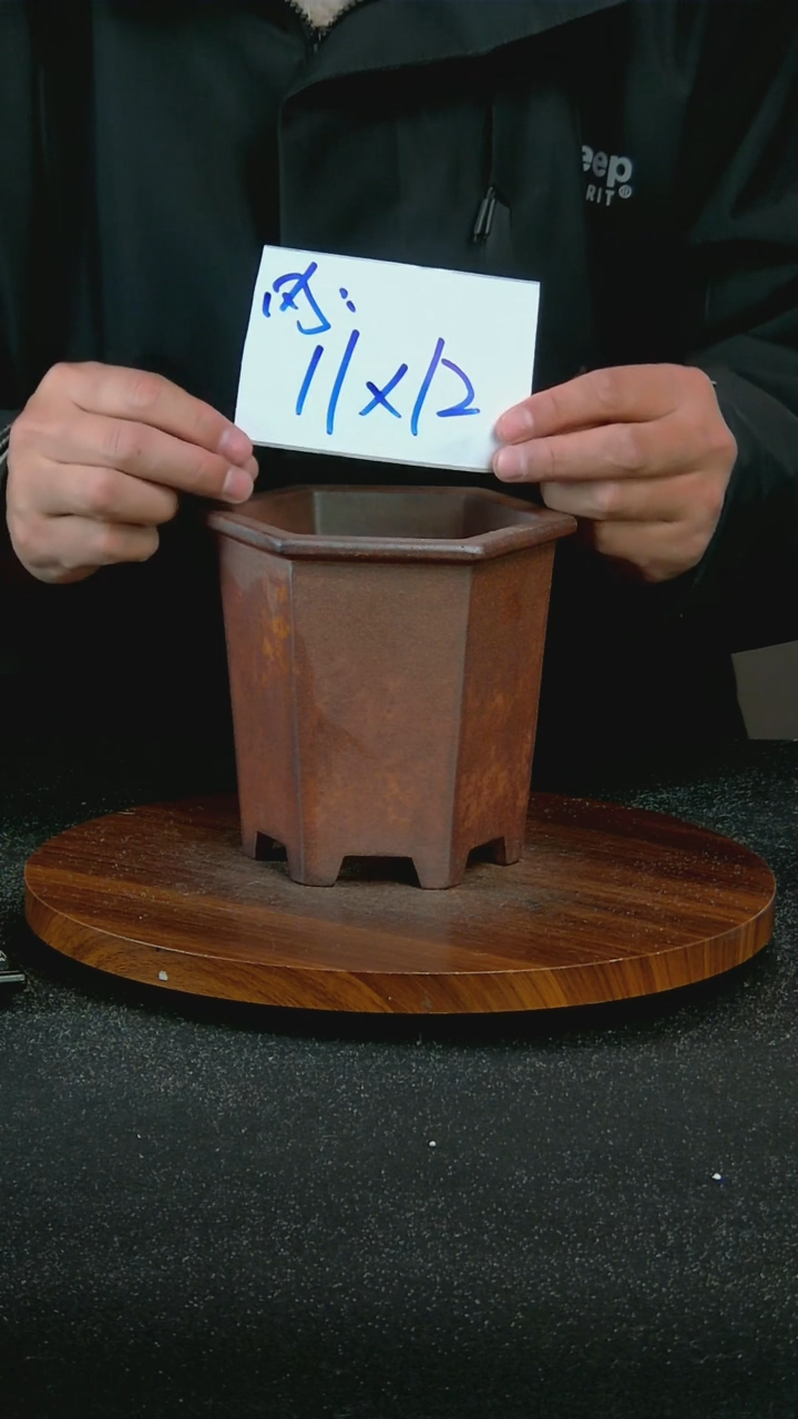 【闪购商品】紫砂P66