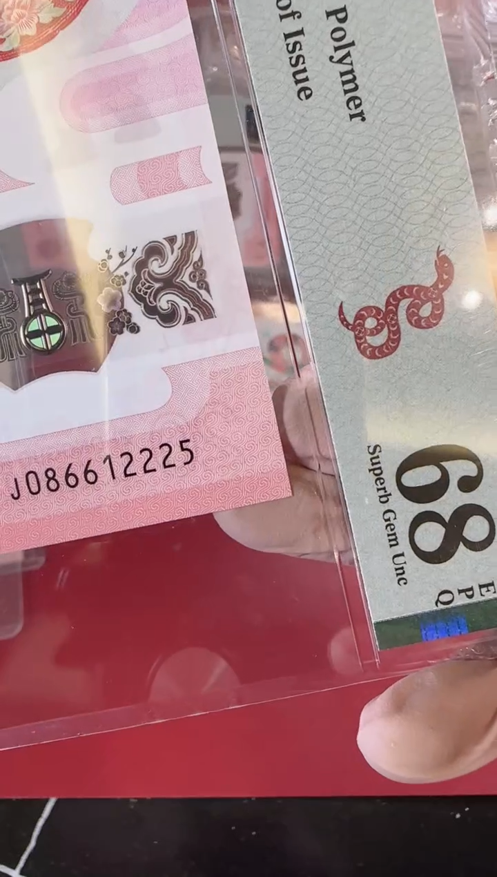 【闪购商品】塑料2025蛇钞单张裸啊啊啊啊啊啊