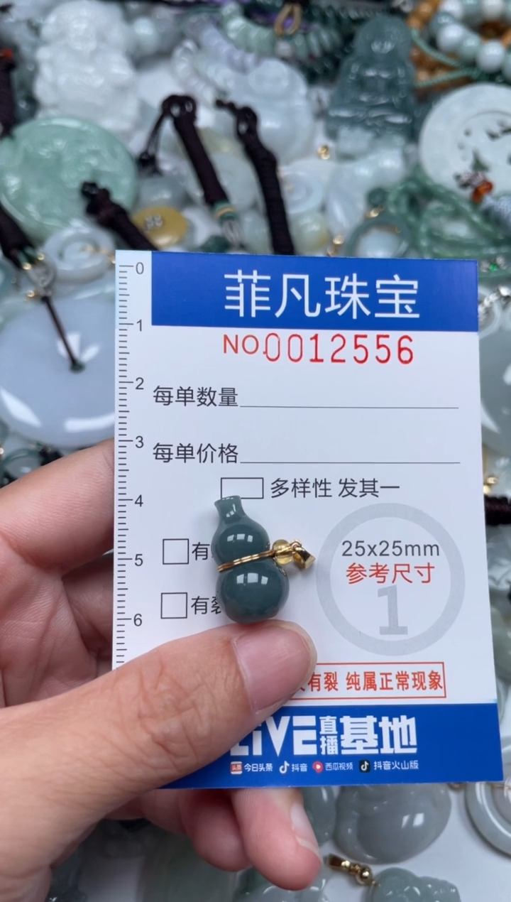 颈饰未镶嵌翡翠12556