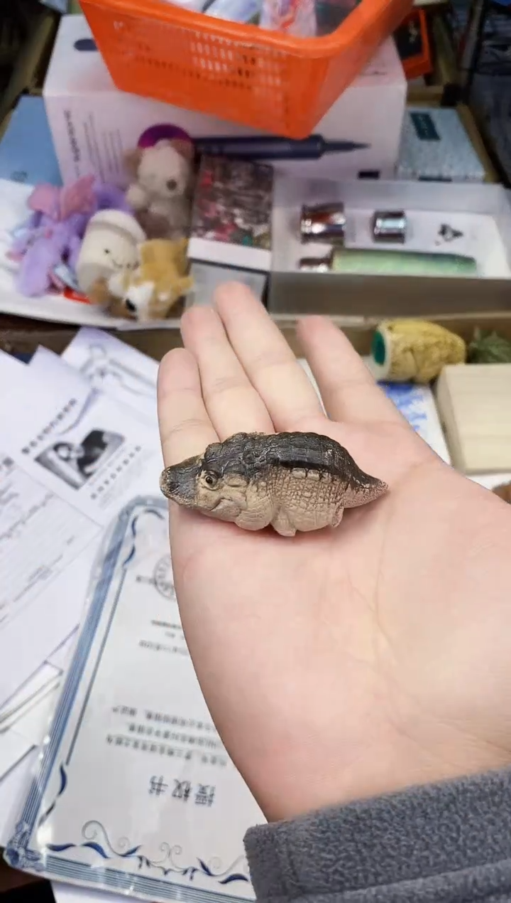 【闪购商品】瓷片都是我的大宝贝儿瓷器